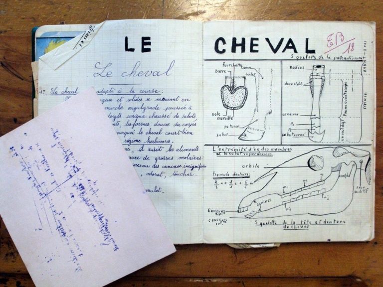 Cahier d'écolier : leçon sur le cheval