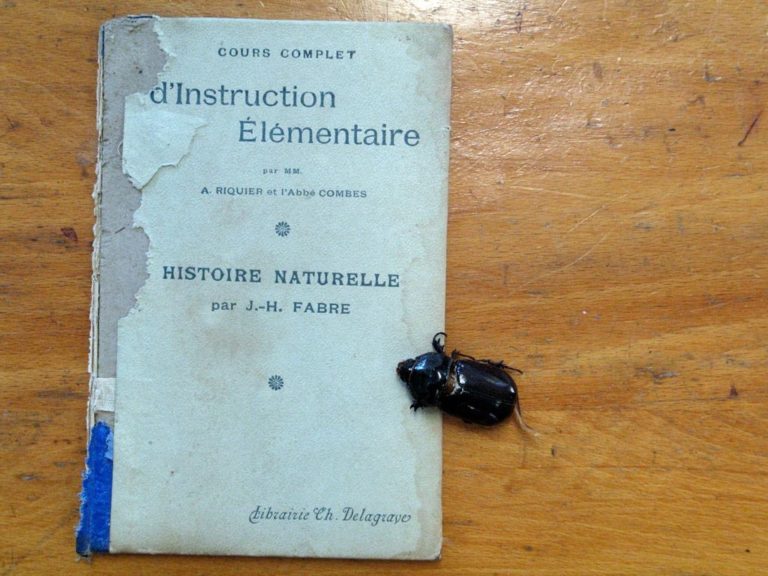 Livre d'histoire naturelle